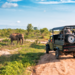 EXPLORE SRI LANKA’S TIMELESS TREASURES
