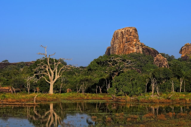 Yala landscape