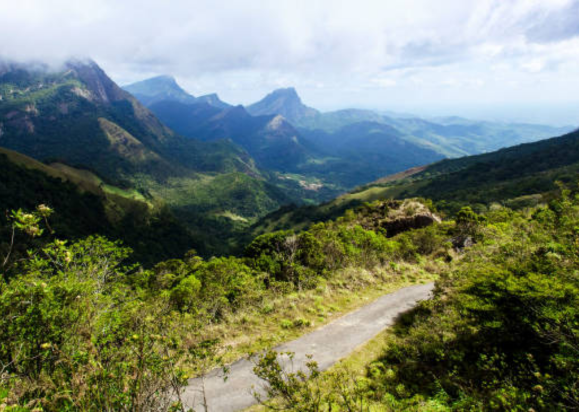 Knuckles Mountain Range