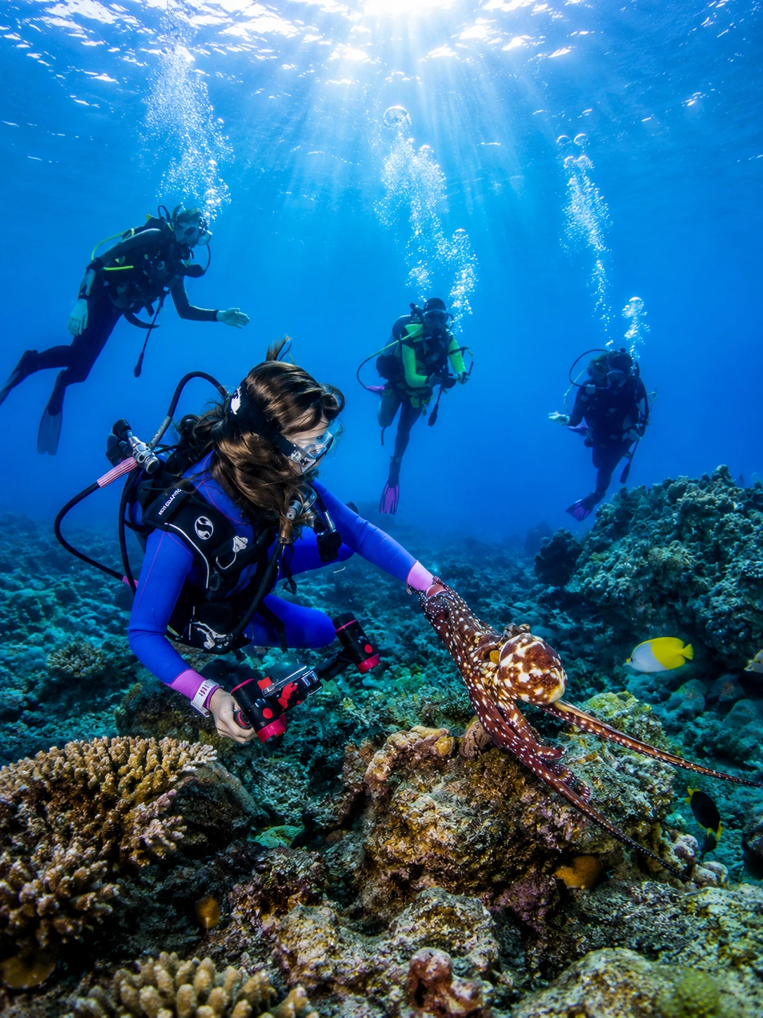 Bar Reef