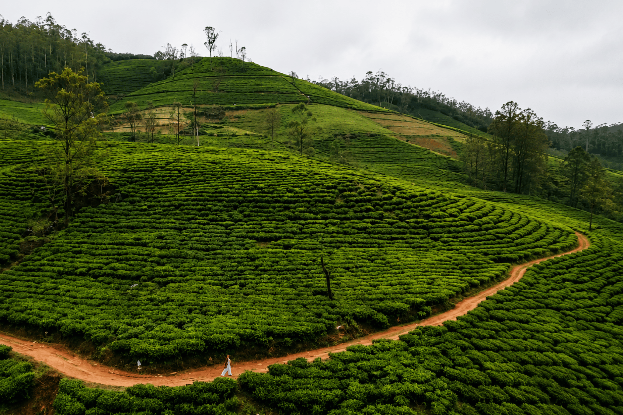 Sri Lanka Hill Country