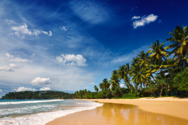 breach11 JOURNEY THROUGH SRI LANKA’S RICH HERITAGE - Image 1