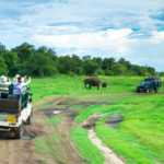Wildlife Lovers Tour Sri Lanka Nature Adventure