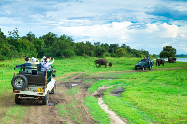wild liov3 Wildlife Lovers Tour Sri Lanka Nature Adventure - Image 1